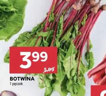 Botwina