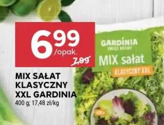 Mix sałat klasyczny XXL Gardinia