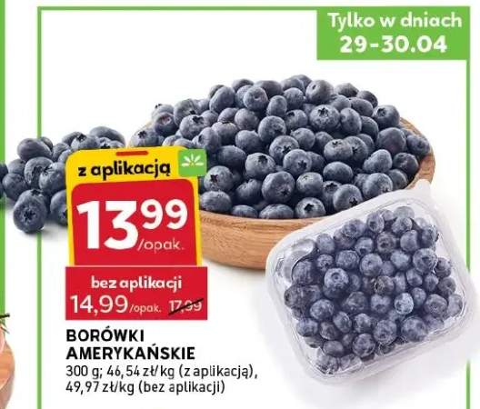 Borówki amerykańskie