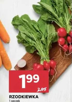 Rzodkiewka