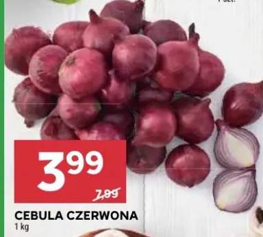Cebula czerwona