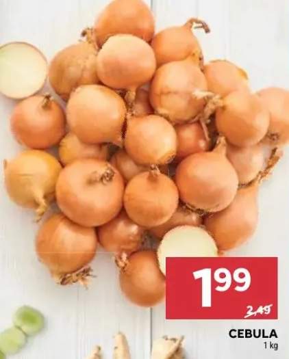 Cebula