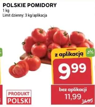 Pomidory polskie