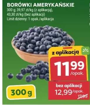 Borówki amerykańskie