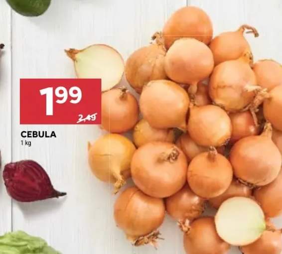 Cebula