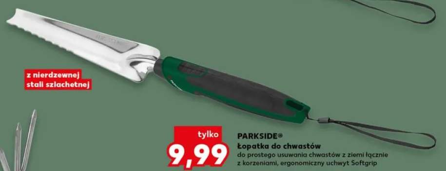 łopatka