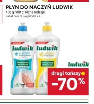 Płyn do naczyń Ludwik