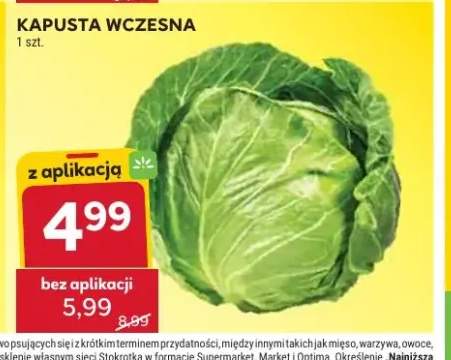 Kapusta wczesna