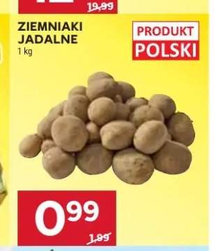 Ziemniaki jadalne polskie