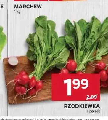 Rzodkiewka