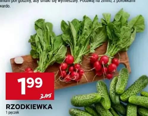 Rzodkiewka
