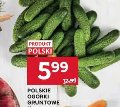 Ogórki gruntowe polskie