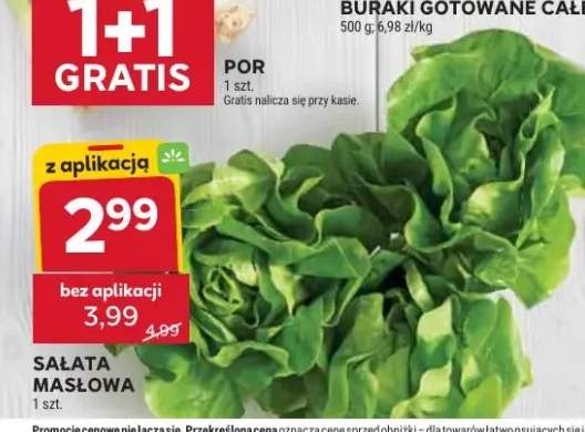 Sałata masłowa