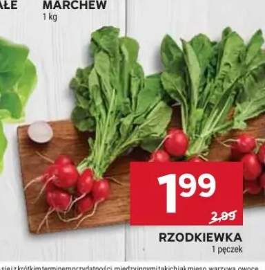 Rzodkiewka