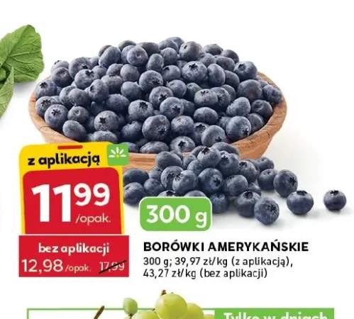 Borówki amerykańskie