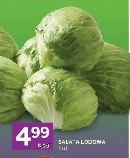Sałata lodowa