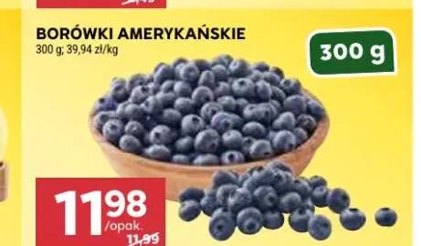 Borówki amerykańskie