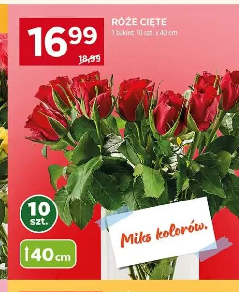 Róże cięte 40cm