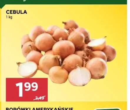 Cebula