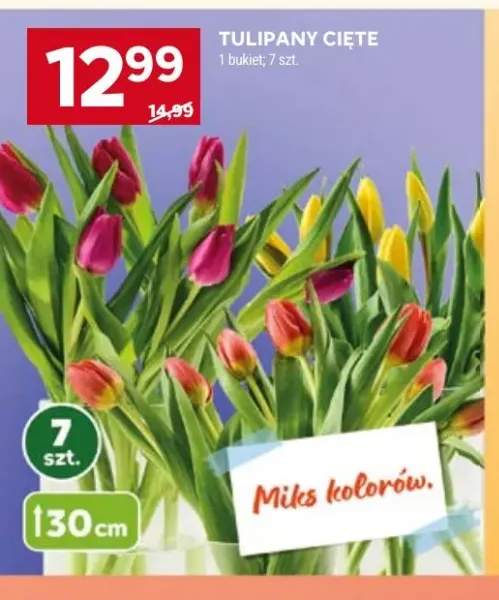 Tulipany cięte 30cm