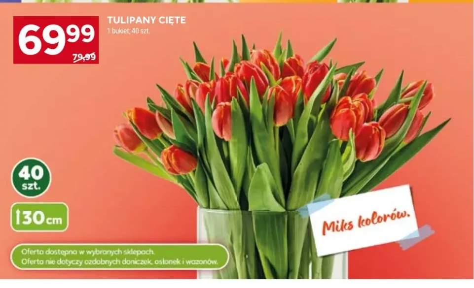 Tulipany cięte 30cm
