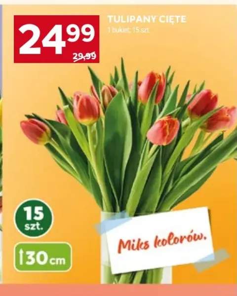 Tulipany cięte 30cm
