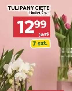 Tulipany cięte