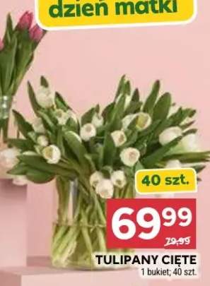 Tulipany cięte