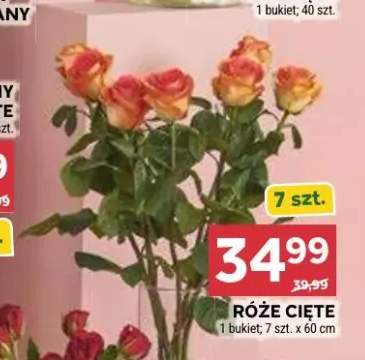 Róże cięte 60cm