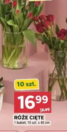 Róże cięte 40cm