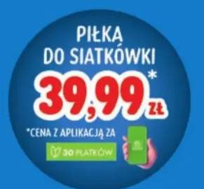 Piłka do siatkówki