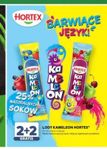Lody Kameleon Hortex