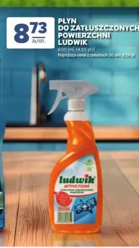 Płyn do zatłuszczonych powierzchni Ludwik