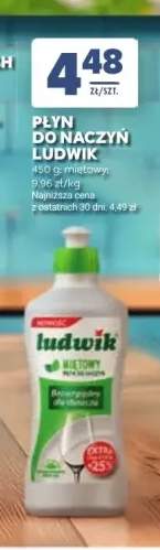 Płyn do naczyń Ludwik miętowy