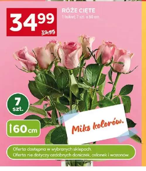 Róże cięte 60cm