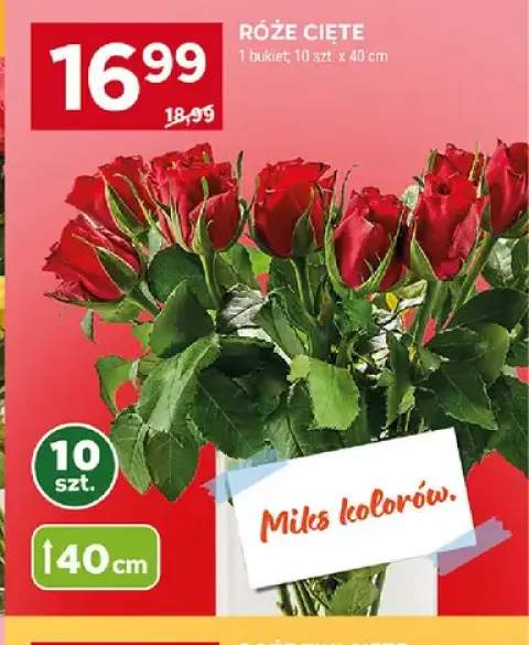 Róże cięte 40cm