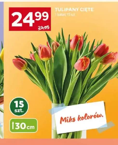 Tulipany cięte 30cm
