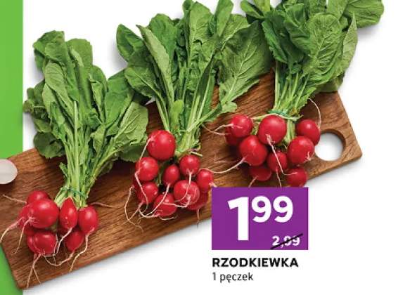 Rzodkiewka