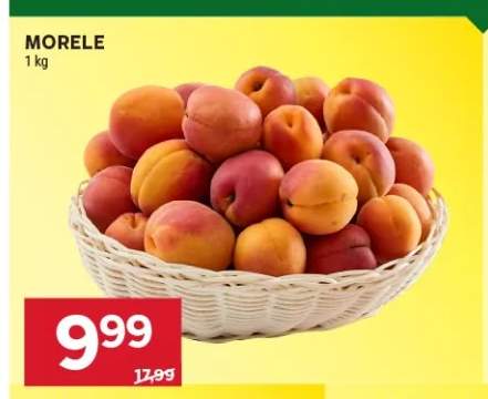 Morele