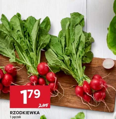Rzodkiewka