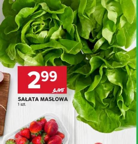 Sałata masłowa