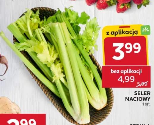 Seler naciowy