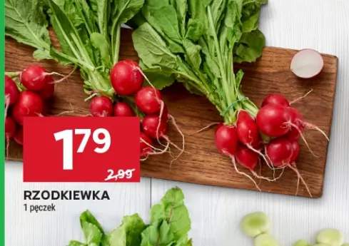 Rzodkiewka