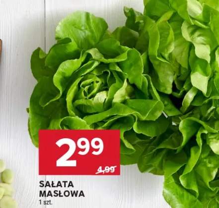 Sałata masłowa