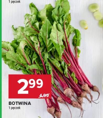 Botwina