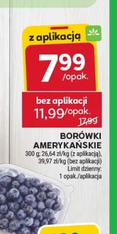 Borówki amerykańskie