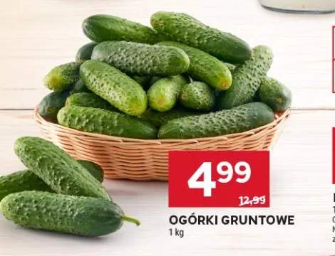 Ogórki gruntowe