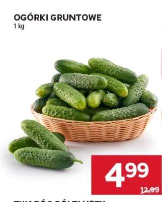 Ogórki gruntowe
