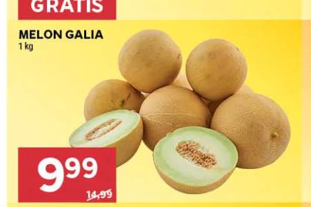 Melon galia