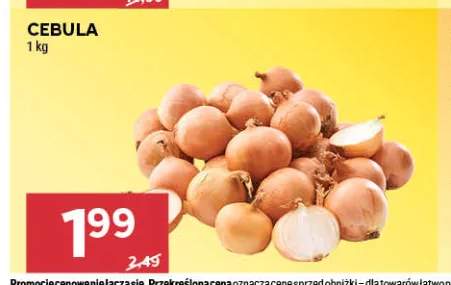 Cebula
